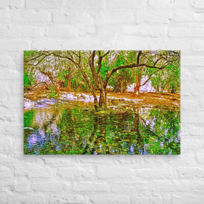Canvas israel dan river 0002 24″×36″