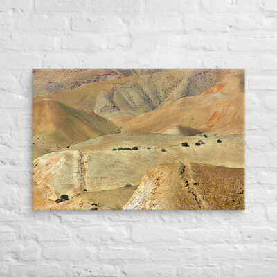 Canvas israel judean desert 0005 24″×36″