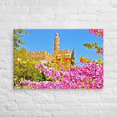 Canvas jerusalem old city david tower 0002 24″×36″