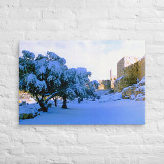 Canvas jerusalem old city david tower 0007 24″×36″