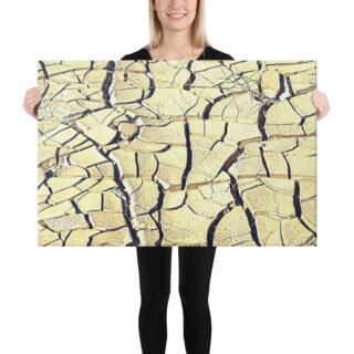 Canvas israel negev 0003 24″×36″