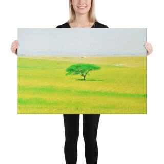 Canvas israel negev 0002 24″×36″