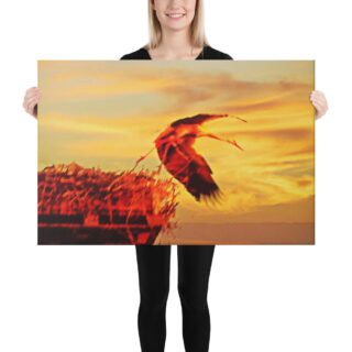 canvas-in-24x36-person-68eaeed97077f.jpg Canvas birds of the world Stork 0001 24″×36″