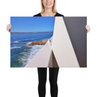 canvas-in-24x36-person-68eb01000b731.jpg Canvas birds of the world Sea Gull 0007 24″×36″