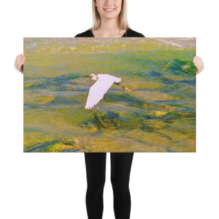 canvas-in-24x36-person-68eb1ca08631a.jpg Canvas birds of the world Egret 0001 24″×36″