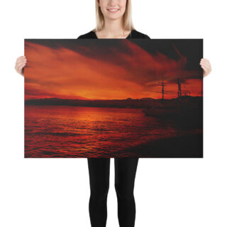 cat-canvas-israel-eilat Canvas israel achziv 0001 16″×20″