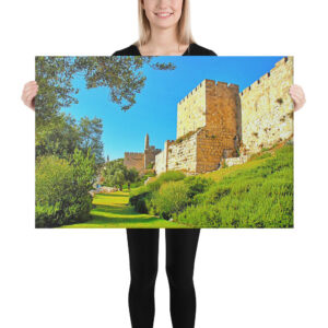 cat-canvas-israel-jerusalem Canvas israel achziv 0001 16″×20″