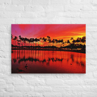 Canvas
