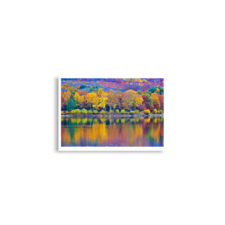 enhanced-matte-paper-poster-cm-a2-42x59.4-cm-front-68dd5c39845e9.jpg Poster print france provence foliage 0005x (42×59.4 cm)