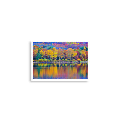 Poster print france provence foliage 0005x (42×59.4 cm)