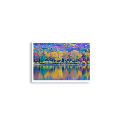 Poster print france provence foliage 0002x (42×59.4 cm)