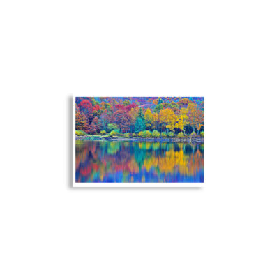 enhanced-matte-paper-poster-cm-a2-42x59.4-cm-front-68dd5c3abc72c.jpg Poster print france provence foliage 0003x (42×59.4 cm)