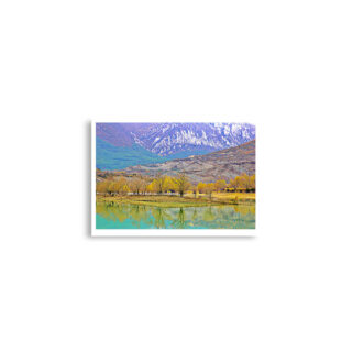enhanced-matte-paper-poster-cm-a2-42x59.4-cm-front-68dd5c3aeebaf.jpg Poster print spain foliage 0004x (42×59.4 cm)