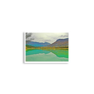 enhanced-matte-paper-poster-cm-a2-42x59.4-cm-front-68dd5c3be030f.jpg Poster print spain foliage 0002x (42×59.4 cm)
