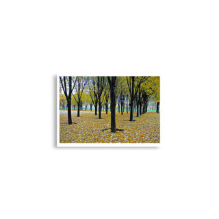 enhanced-matte-paper-poster-cm-a2-42x59.4-cm-front-68dd5d0546c9c.jpg Poster print french paris foliage 0002x (42×59.4 cm)