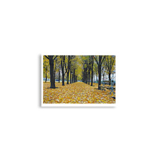 enhanced-matte-paper-poster-cm-a2-42x59.4-cm-front-68dd5d059669b.jpg Poster print french paris foliage 0003x (42×59.4 cm)