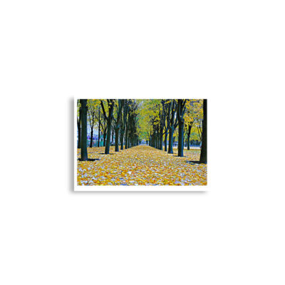 enhanced-matte-paper-poster-cm-a2-42x59.4-cm-front-68dd5dc4c0683.jpg Poster print french paris foliage 0001x (42×59.4 cm)