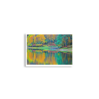 enhanced-matte-paper-poster-cm-a2-42x59.4-cm-front-68dd5e26cadeb.jpg Poster print france provence foliage 0007x (42×59.4 cm)