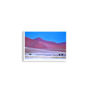 enhanced-matte-paper-poster-cm-a2-42x59.4-cm-front-68dd7b4ad2658.jpg Poster print Namibia Sossusvlei 0011x (42×59.4 cm)