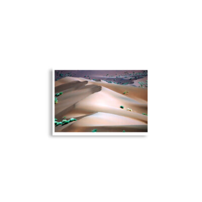 enhanced-matte-paper-poster-cm-a2-42x59.4-cm-front-68dd7b4b04098.jpg Poster  print Namibia Sossusvlei 0009x (42×59.4 cm)
