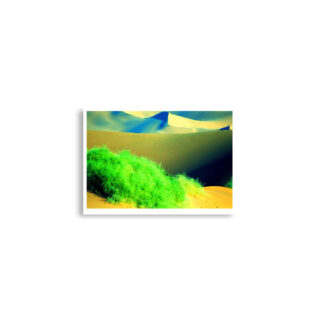enhanced-matte-paper-poster-cm-a2-42x59.4-cm-front-68dd7b4b27601.jpg Poster print Namibia Sossusvlei 0015x (42×59.4 cm)