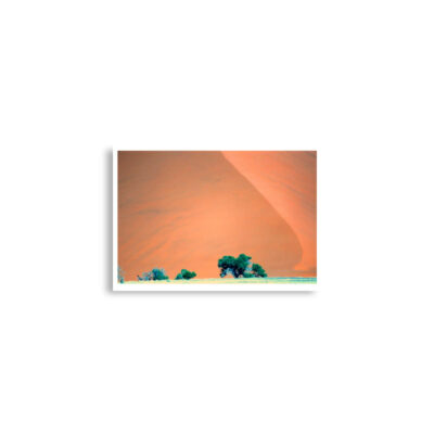 enhanced-matte-paper-poster-cm-a2-42x59.4-cm-front-68dd7b4b2daf7.jpg Poster print Namibia Sossusvlei 0007x (42×59.4 cm)