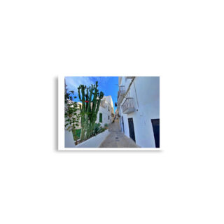 enhanced-matte-paper-poster-cm-a2-42x59.4-cm-front-68dd856d5d3a2.jpg Poster print Spain Ibiza Town 00002x (42×59.4 cm)