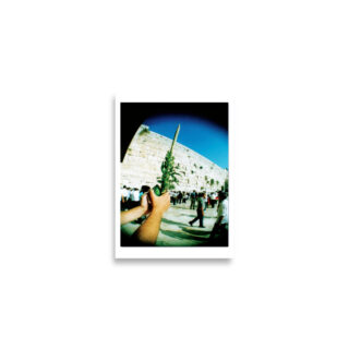 enhanced-matte-paper-poster-cm-a2-42x59.4-cm-front-68dec0945ea0b.jpg Poster print sukkot 0003 (42×59.4 cm)