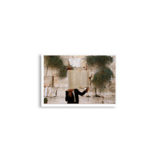 enhanced-matte-paper-poster-cm-a2-42x59.4-cm-front-68dedd3970aed.jpg Poster print kotel Torah Praying 0005 (42×59.4 cm)