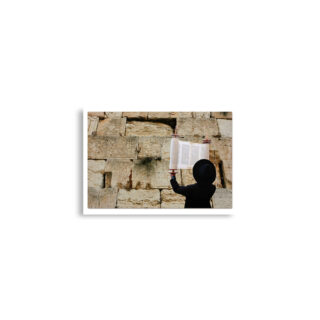 enhanced-matte-paper-poster-cm-a2-42x59.4-cm-front-68dedd39e494b.jpg Poster print kotel Torah Praying 0002 (42×59.4 cm)