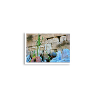 enhanced-matte-paper-poster-cm-a2-42x59.4-cm-front-68dedf4c4a2dd.jpg Poster print kotel sukkot 0005 (42×59.4 cm)