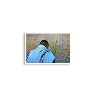 enhanced-matte-paper-poster-cm-a2-42x59.4-cm-front-68dedf4d3a9d2.jpg Poster print kotel sukkot 0004 (42×59.4 cm)