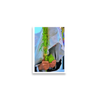 enhanced-matte-paper-poster-cm-a2-42x59.4-cm-front-68dedf4d8f5ed.jpg Poster print kotel sukkot 0007 (42×59.4 cm)