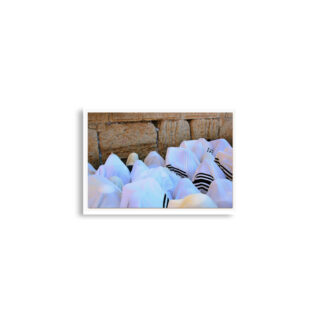 enhanced-matte-paper-poster-cm-a2-42x59.4-cm-front-68dee08594b0b.jpg Poster print kotel Priestly Blessing birkat kohanim 0002 (42×59.4 cm)