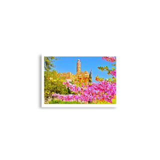 enhanced-matte-paper-poster-cm-a2-42x59.4-cm-front-68e1d8fb789e2.jpg Poster print jerusalem old city david tower 0002 (42×59.4 cm)