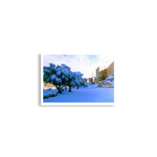 enhanced-matte-paper-poster-cm-a2-42x59.4-cm-front-68e1d8fb985de.jpg Poster print jerusalem old city david tower 0007 (42×59.4 cm)
