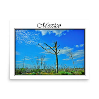 Poster mexico 0001 18″×24″