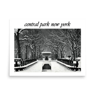 enhanced-matte-paper-poster-in-18x24-front-68fc18574e124.jpg Poster NEW YORK central park 003 18″×24″