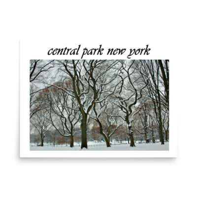 enhanced-matte-paper-poster-in-18x24-front-68fc1857c536b.jpg Poster NEW YORK central park 002 18″×24″