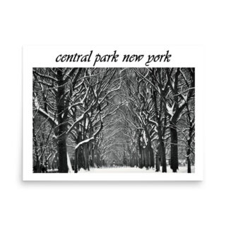 enhanced-matte-paper-poster-in-18x24-front-68fc18580782a.jpg Poster NEW YORK central park 001 18″×24″