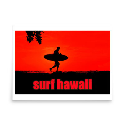 enhanced-matte-paper-poster-in-18x24-front-68fd039c776c5.jpg Poster surf hawaii 0002 18″×24″