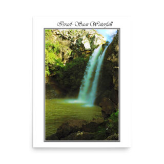 enhanced-matte-paper-poster-in-18x24-front-68fd2fedd0d43.jpg Poster israel saar waterfall 002 18″×24″