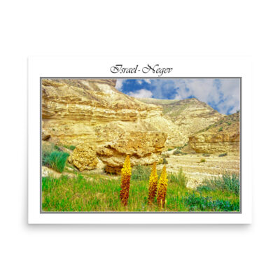 enhanced-matte-paper-poster-in-18x24-front-68fd3050f15a0.jpg Poster israel negev 005 18″×24″