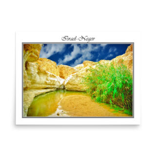 enhanced-matte-paper-poster-in-18x24-front-68fd305143335.jpg Poster israel negev 003 18″×24″