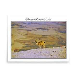 enhanced-matte-paper-poster-in-18x24-front-68fd311f81924.jpg Poster israel mitzpe ramon 001 18″×24″