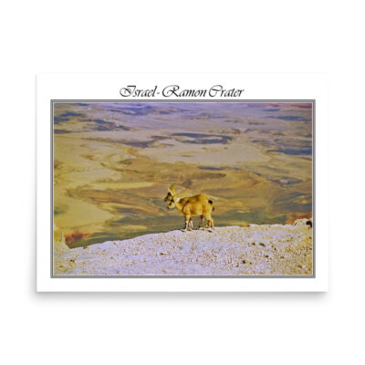 enhanced-matte-paper-poster-in-18x24-front-68fd311f81924.jpg Poster israel mitzpe ramon 001 18″×24″
