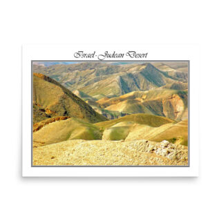 enhanced-matte-paper-poster-in-18x24-front-68fd324e08b0a.jpg Poster israel judean desert  002 18″×24″