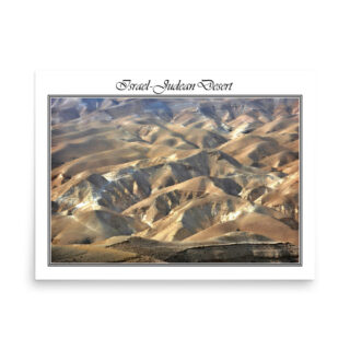 enhanced-matte-paper-poster-in-18x24-front-68fd324edbde0.jpg Poster israel judean desert  003 18″×24″