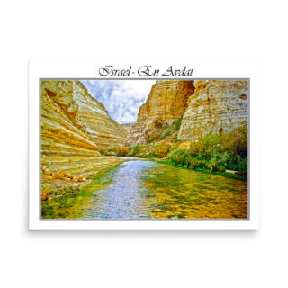 enhanced-matte-paper-poster-in-18x24-front-68fd32ee43bba.jpg Poster israel in avdat 003 18″×24″