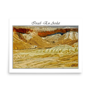 Poster israel in avdat 002 18″×24″